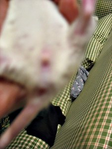 17.o2.12 Power 003.JPG