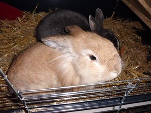 CIMG0033 - Kopie.JPG