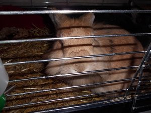 CIMG0036 - Kopie.JPG