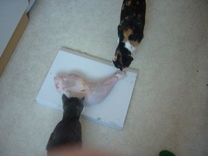 P1030253.JPG P1030253.JPG