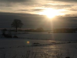 IMG_6937 (Klein).JPG