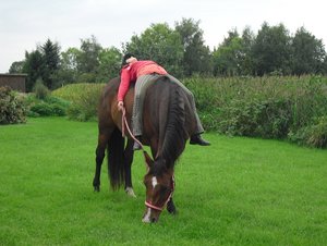 Reitenich und Spaß! 149.JPG