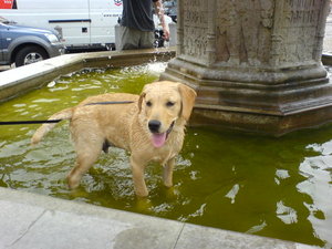 TILA_ MANDY _ TORSTEN (40).jpg