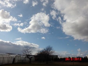 CIMG1937 - Kopie.JPG