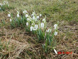 CIMG1936 - Kopie.JPG