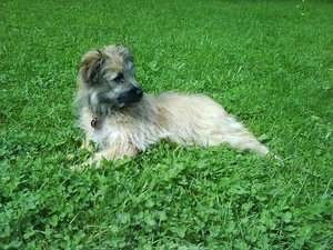 2012-02-26 Colmar Sonne 2.JPG