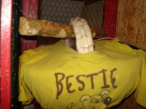 K640_DSC04723.JPG K640_DSC04723.JPG