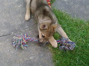 Kimi mit Neros Tau (Klein).jpg