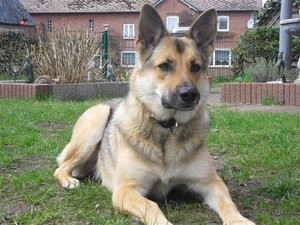 CIMG3482 (Klein).JPG