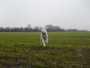 CIMG6547 (Klein).JPG