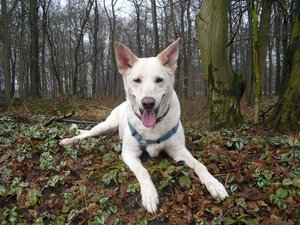 CIMG6555 (Klein).JPG CIMG6555 (Klein).JPG