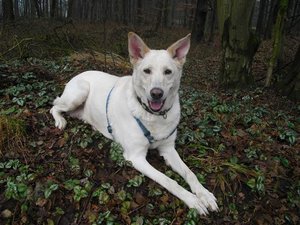 CIMG6567 (Klein).JPG CIMG6567 (Klein).JPG