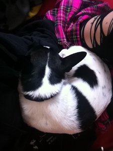 IMG_2967.jpg IMG_2967.jpg