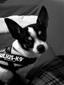 IMG_2975.jpg IMG_2975.jpg