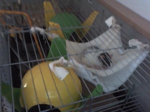 image201203040004.jpg image201203040004.jpg