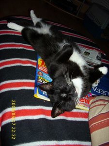 coooooooooooooo 015.jpg