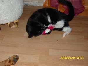 Videos und Bilder 028.jpg