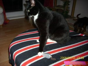 alles und jeder 028.jpg