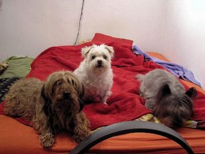 Ohne Titel-1 Kopie.jpg