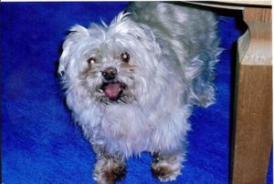 Ohne Titel-2 Kopie.jpg