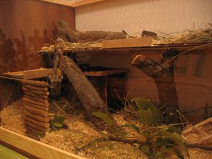 IMG_4683.jpg IMG_4683.jpg