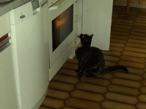 mmmh,mÃ¶chte auch kuchen.jpg