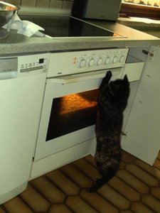 sch-...ich krieg das nicht auf.jpg