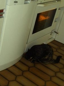 denn nicht...muss ich wohl nach krÃ¼meln suchen.jpg