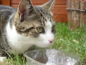 kamera insgesamt 108.jpg