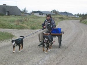 Jessyaaronkutscheklein.jpg Jessyaaronkutscheklein.jpg