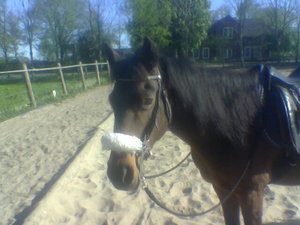 bilder 2007 u. 2008 159.jpg