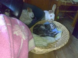 Kopie von Sommer 2008 056.jpg