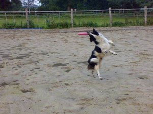 Kopie von Sommer 2008 165.jpg