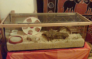 Ohne Titel-1 Kopie.jpg