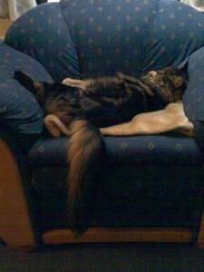 Lilly 036.jpg Lilly 036.jpg