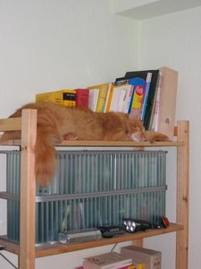 Geburtstag18 025.jpg