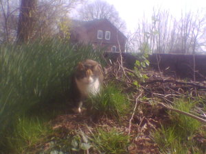 bilder 2007 u. 2008 148.jpg