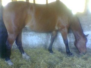 bilder 2007 u. 2008 180.jpg