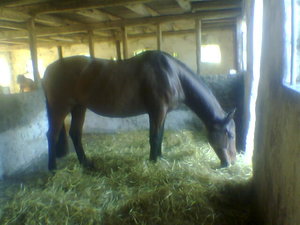 bilder 2007 u. 2008 145.jpg