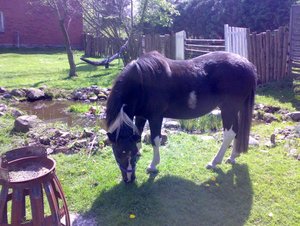 bilder 2007 u. 2008 284.jpg