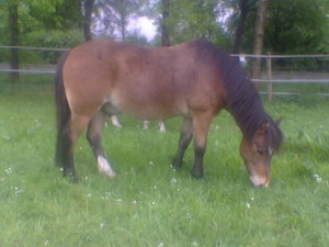 bilder 2007 u. 2008 227.jpg