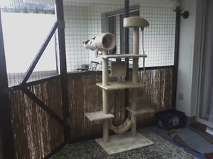 Kratzbaum Terasse.jpeg