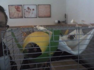 image201203040002.jpg image201203040002.jpg