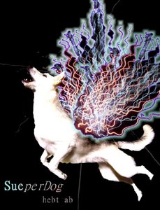 Sueper-Dog3.jpg