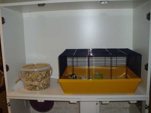 Käfig im Gehege.jpg