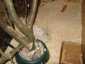 K640_DSC05745.JPG K640_DSC05745.JPG