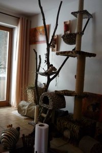 417368_384212528260696_100000158577215_1735787_462268023_n.jpg 417368_384212528260696_100000158577215_1735787_462268023_n.jpg