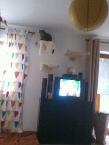 419821_403726799642602_100000158577215_1794586_84337955_n.jpg 419821_403726799642602_100000158577215_1794586_84337955_n.jpg