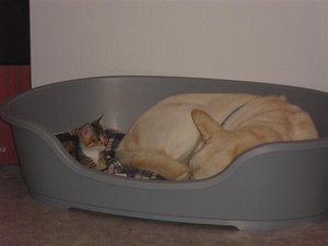 CIMG5712 (Klein).JPG