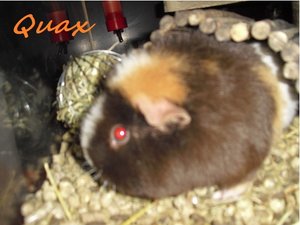 SpaÃŸ muss sein! 005.JPG